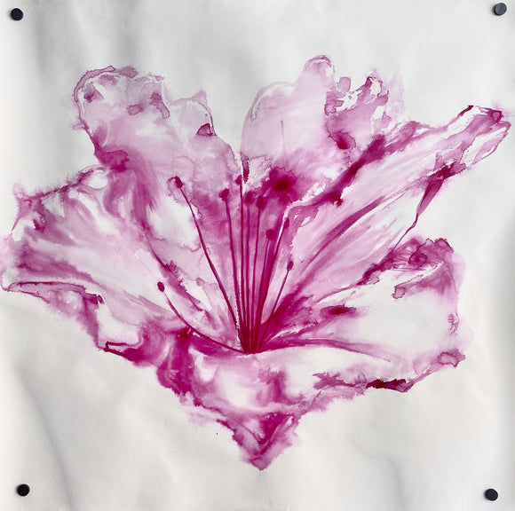 Gardenia in Red Violet - Original Ink Painting