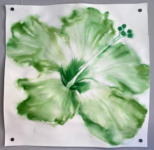 Hibiscus in Green - Original Ink Painting