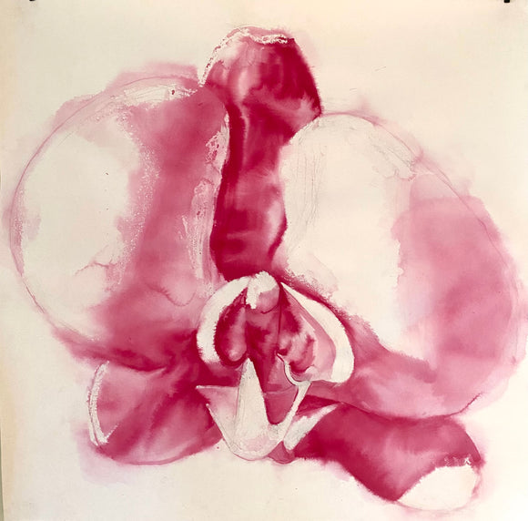 Orchid in Red - Original Ink Painting